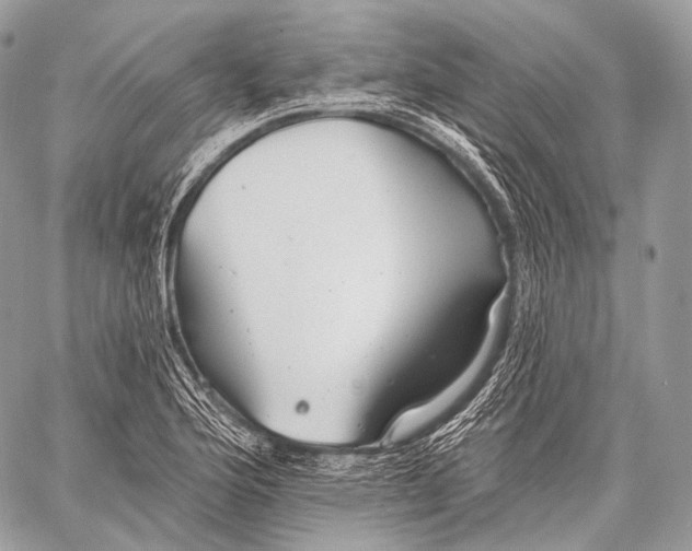 X0000059041176200510281534