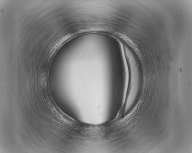 X0000059041177200510281534