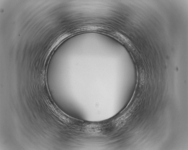 X0000059041178200510281534