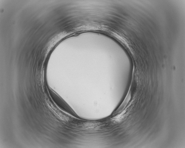 X0000059041179200510281534