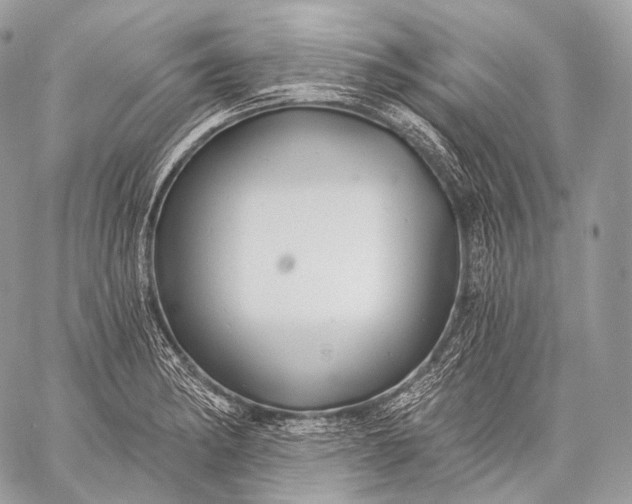 X0000059041182200510281534