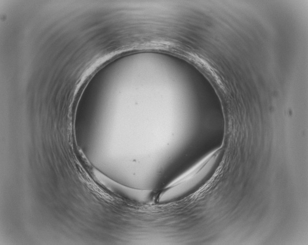 X0000059041184200510281534