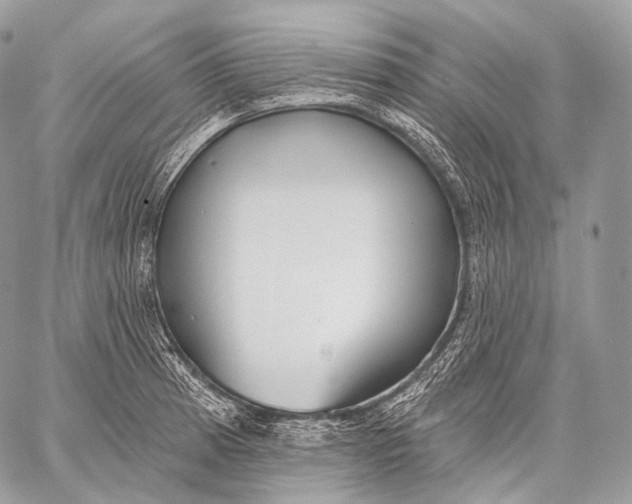 X0000059041185200510281534