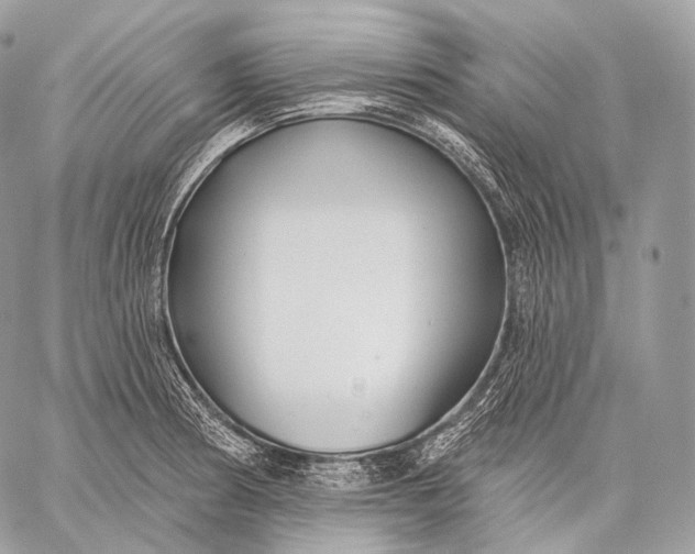 X0000059041186200510281534