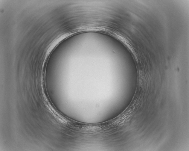 X0000059041187200510281534