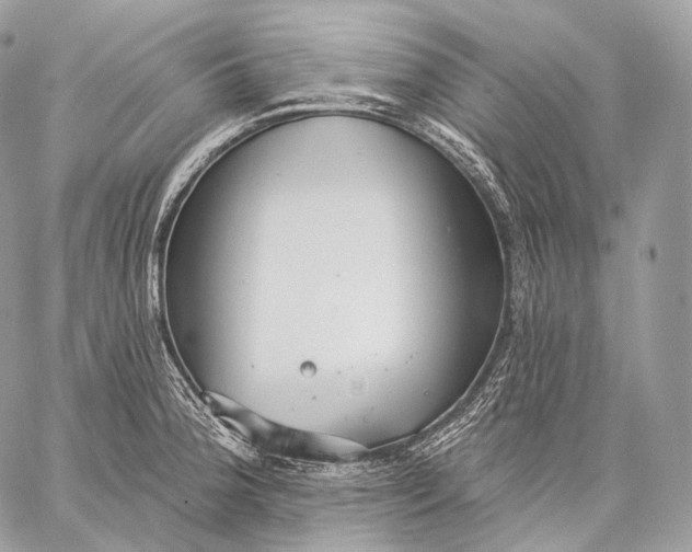 X0000059041188200510281534