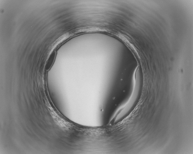 X0000059041189200510281534