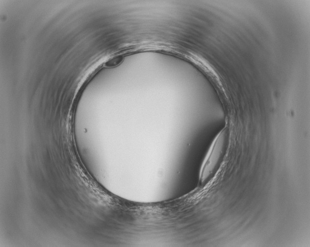 X0000059041190200510281534