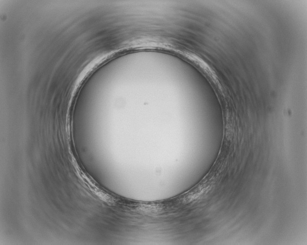 X0000059041191200510281534