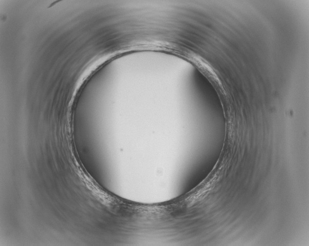 X0000059041192200510281534