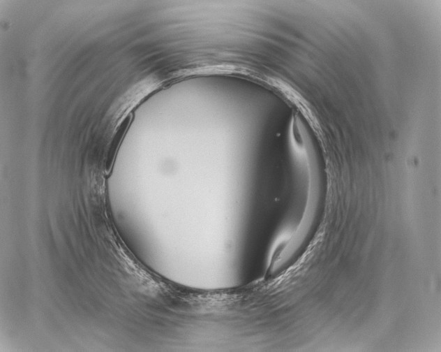 X0000059041193200510281534