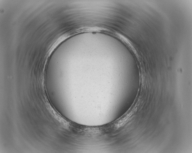 X0000059041194200510281534