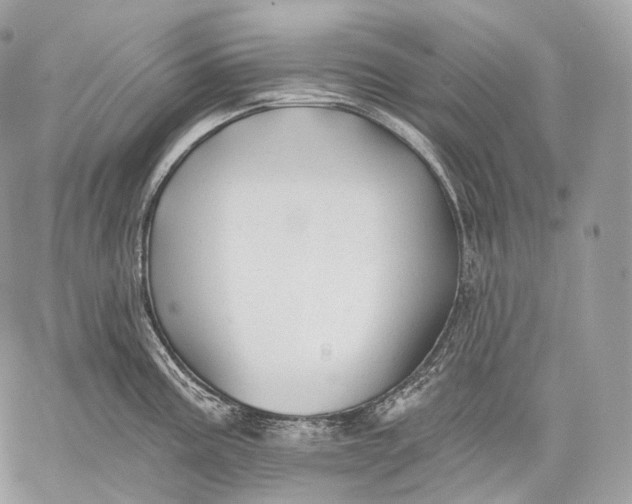 X0000059041195200510281534