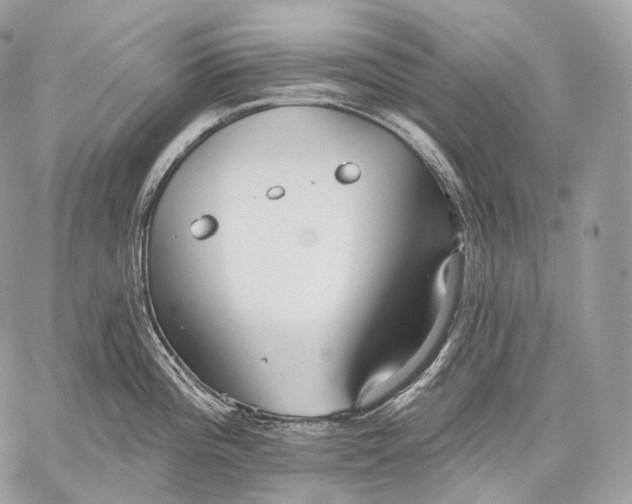 X0000059041196200510281534