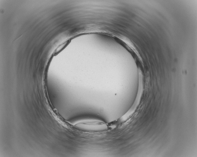 X0000059041197200510281534