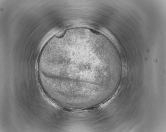 X0000059041198200510281534