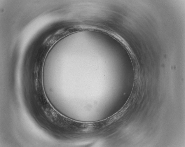 X0000059041199200510281534