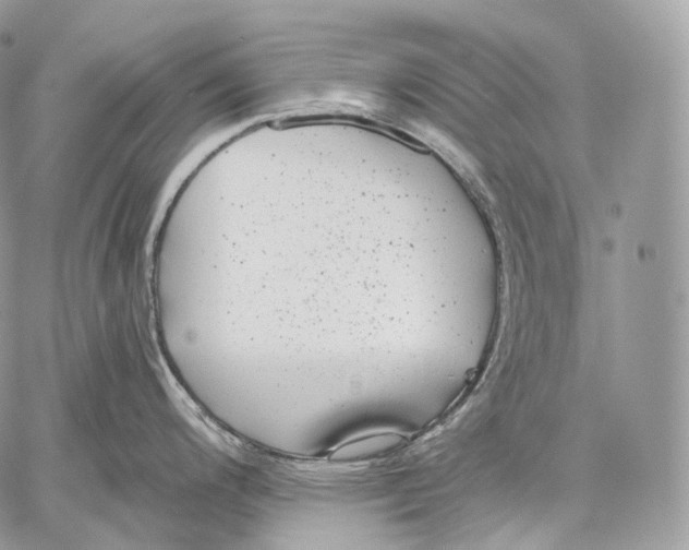 X0000059041200200510281534