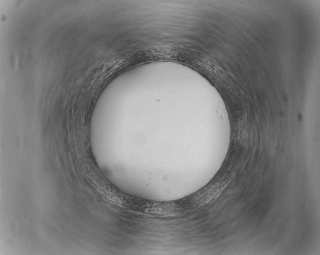 X0000059041201200510281533