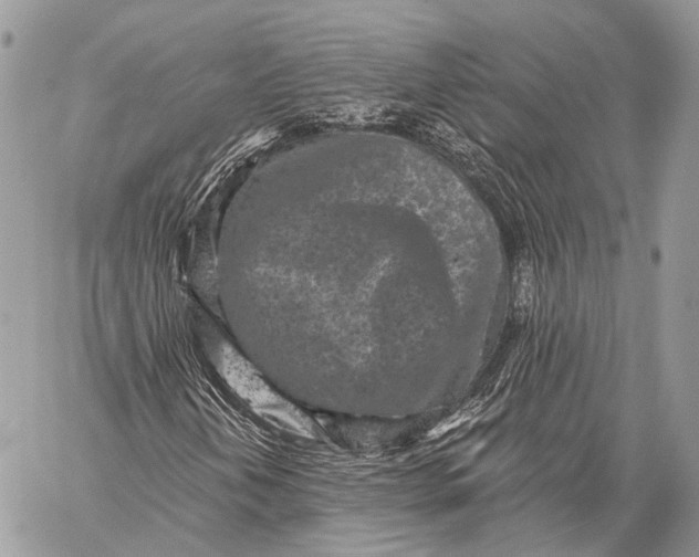 X0000059041202200510281533