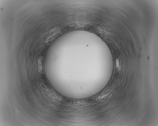 X0000059041203200510281533