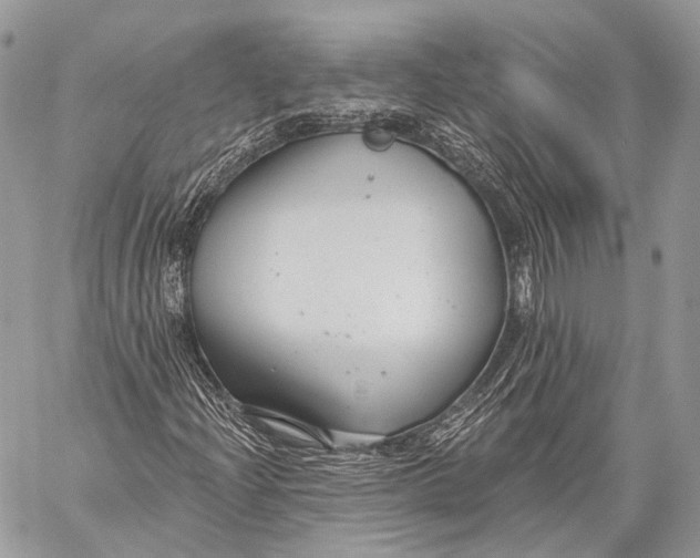 X0000059041204200510281533