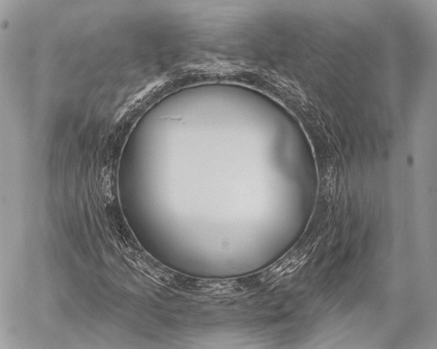 X0000059041205200510281533