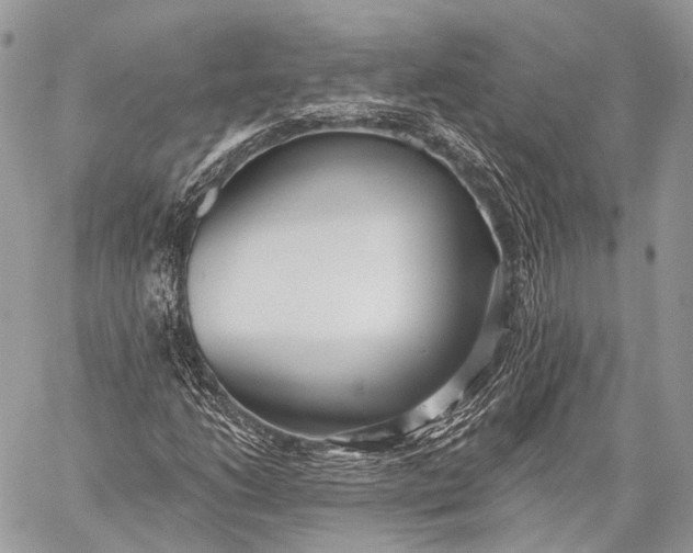 X0000059041206200510281533