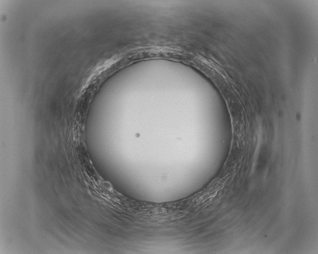 X0000059041207200510281533