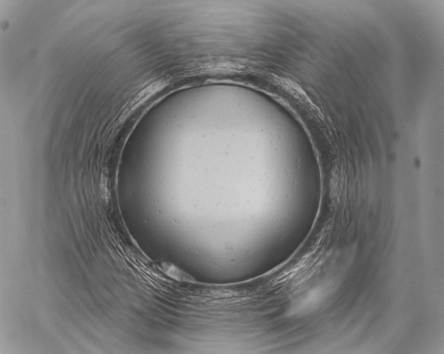 X0000059041209200510281533