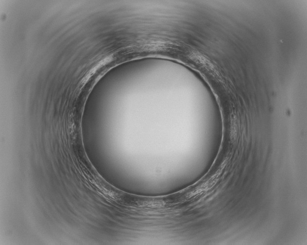 X0000059041210200510281533