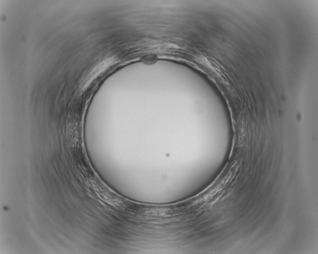 X0000059041211200510281533