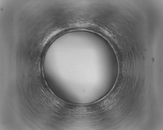 X0000059041214200510281534