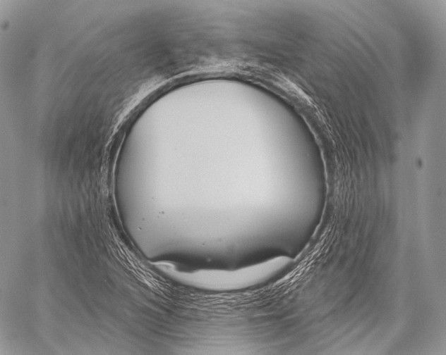 X0000059041216200510281534