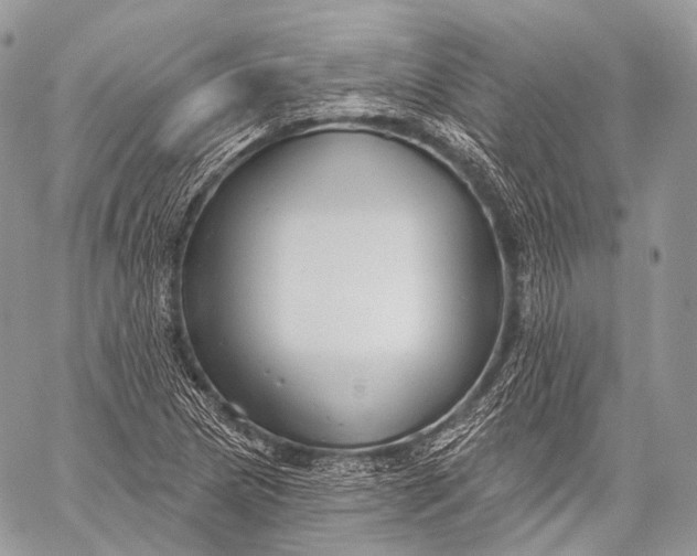 X0000059041217200510281534