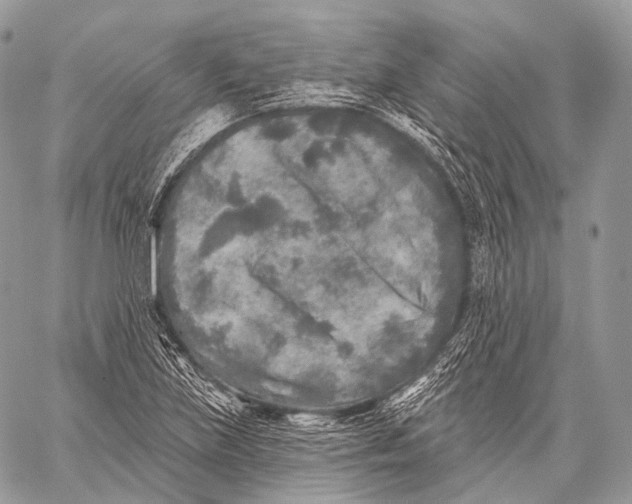 X0000059041219200510281534