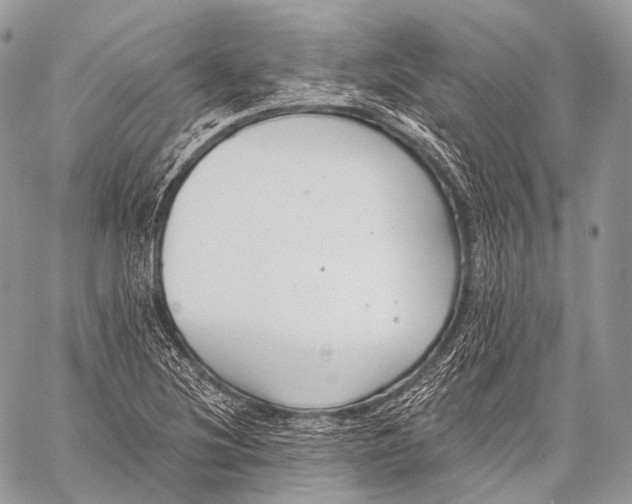 X0000059041220200510281534