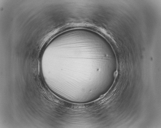 X0000059041221200510281534