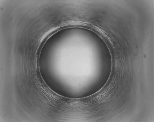 X0000059041222200510281534