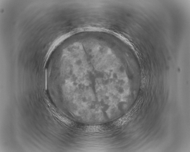 X0000059041223200510281534