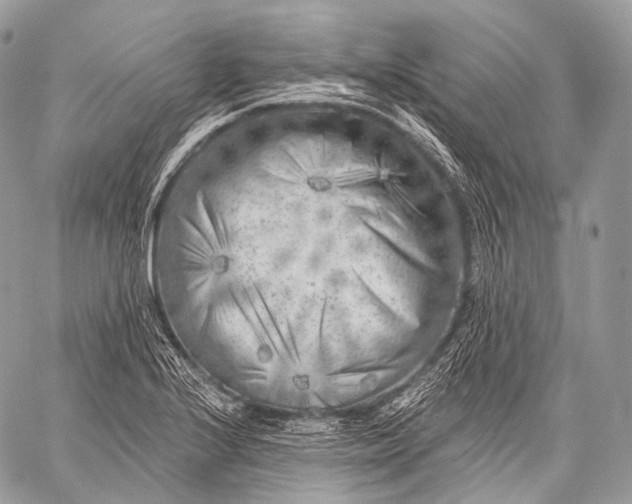 X0000059041224200510281534