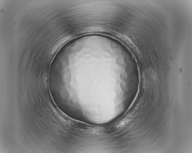 X0000059041225200510281534