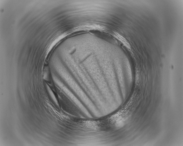 X0000059041226200510281534