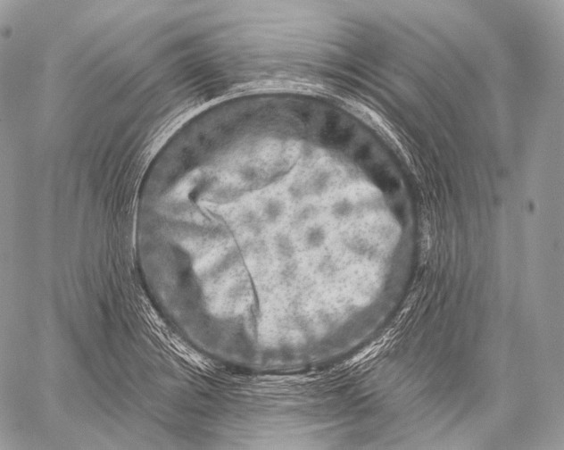 X0000059041228200510281534