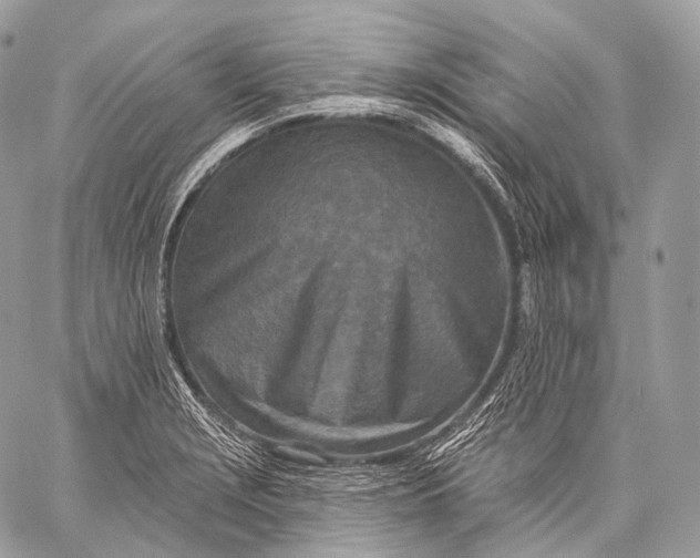 X0000059041229200510281534