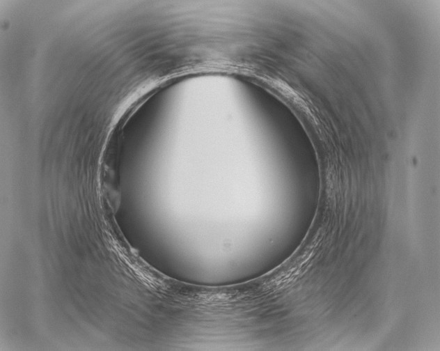 X0000059041230200510281534