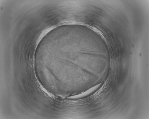 X0000059041231200510281534