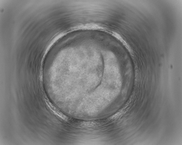 X0000059041232200510281534