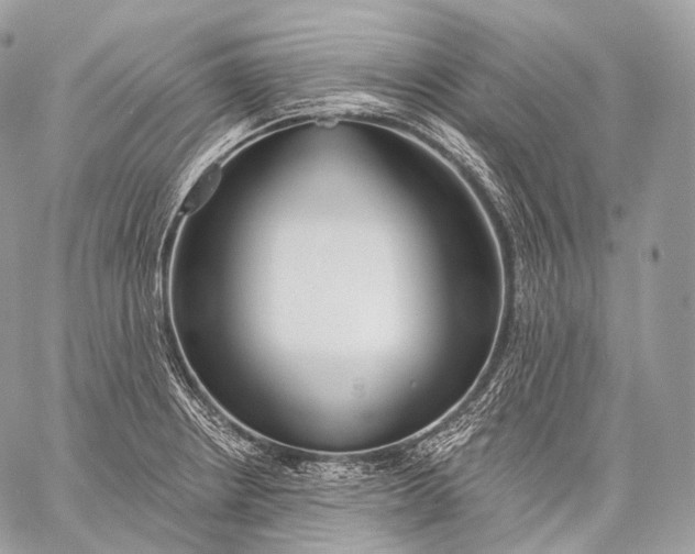 X0000059041234200510281534