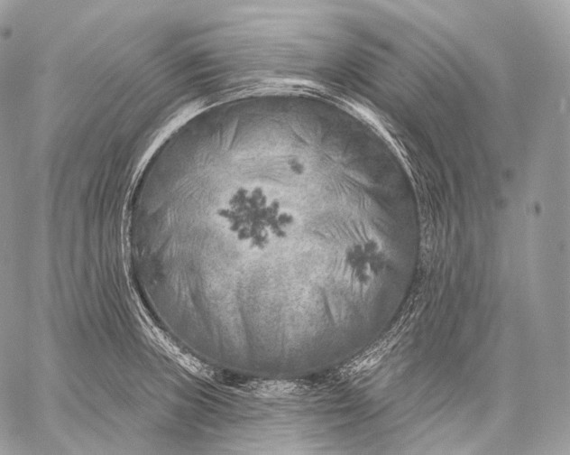 X0000059041235200510281534